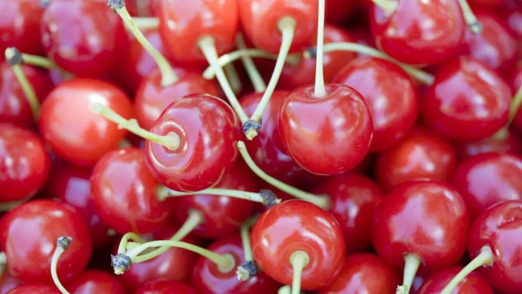 close up photo of tart cherries